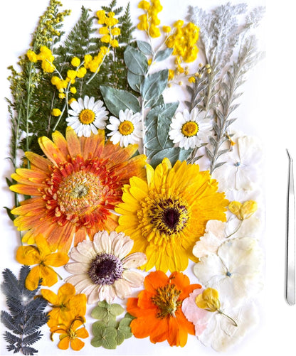 A4 Large Dried Pressed Flowers for Resin Real Dry Natural Flowers Leaves for Resin Mold Cake Candle Making Phone Cases Scrapbooking DIY Art Crafts (Yellow+White)