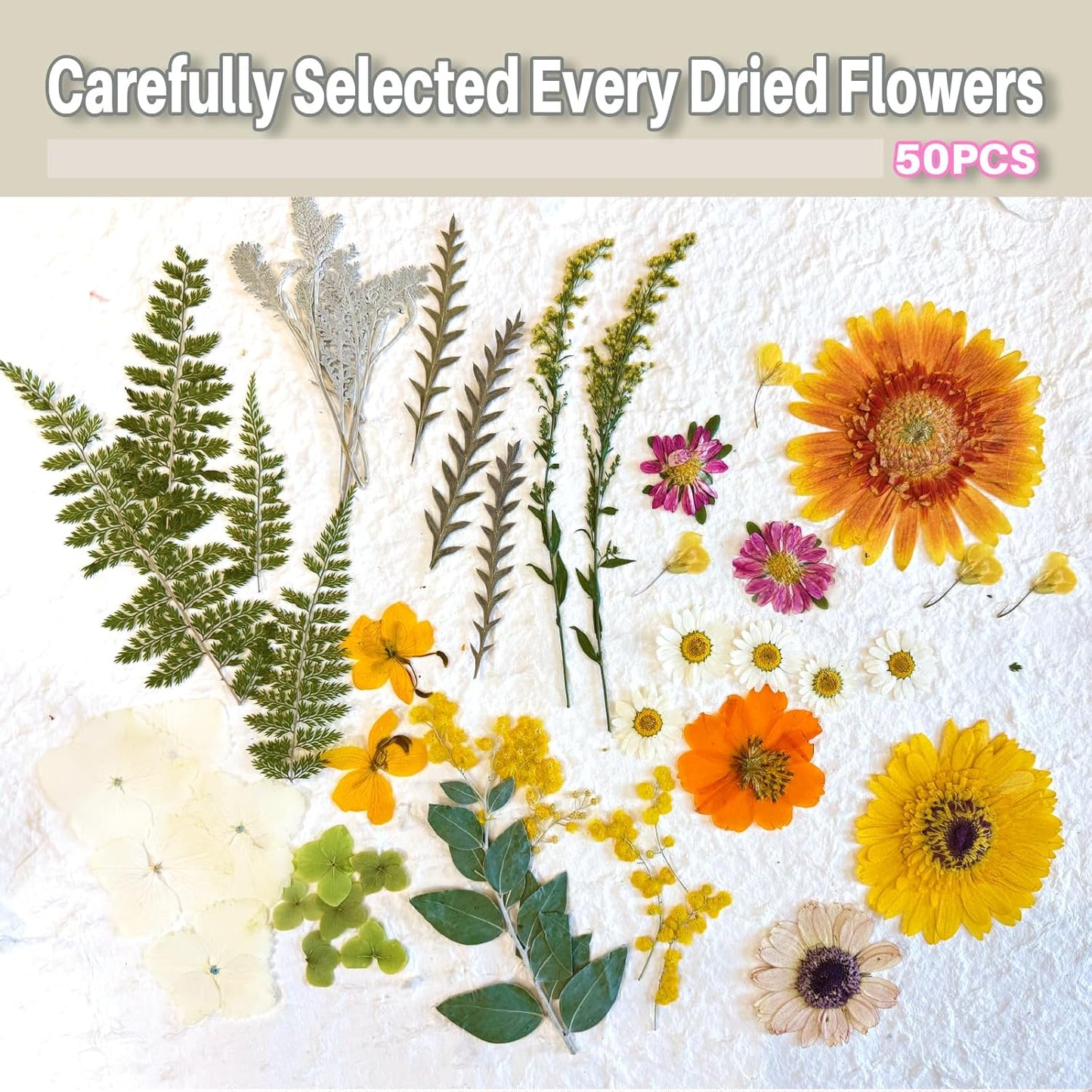 A4 Large Dried Pressed Flowers for Resin Real Dry Natural Flowers Leaves for Resin Mold Cake Candle Making Phone Cases Scrapbooking DIY Art Crafts (Yellow+White)