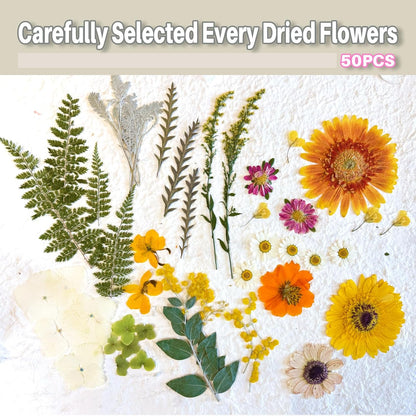 A4 Large Dried Pressed Flowers for Resin Real Dry Natural Flowers Leaves for Resin Mold Cake Candle Making Phone Cases Scrapbooking DIY Art Crafts (Yellow+White)