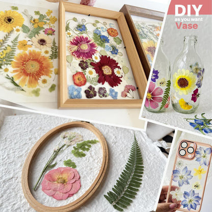 A4 Large Dried Pressed Flowers for Resin Real Dry Natural Flowers Leaves for Resin Mold Cake Candle Making Phone Cases Scrapbooking DIY Art Crafts (Yellow+White)