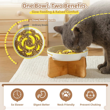 Ceramic Slow Feeder Cat Bowl, 6.3'' Wide Whisker Friendly Cat Puzzle Feeder | Slow Eating 5x, Anti Vomit Shallow Slow Eating Cat Dish for Dry and Wet Food, Contrasting Colors, 6.3" X 1.2"