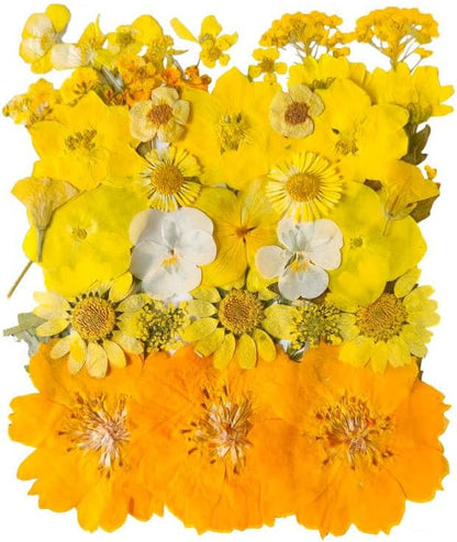 Yellow Dried Pressed Flowers for Resin Molds,Real Natural Pressed Flowers for DIY Art Crafts,Candle Making, Nails Décor,Soap Making, Phone Case