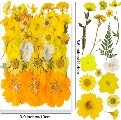 Yellow Dried Pressed Flowers for Resin Molds,Real Natural Pressed Flowers for DIY Art Crafts,Candle Making, Nails Décor,Soap Making, Phone Case