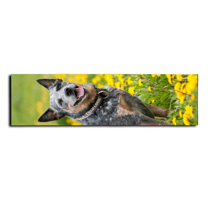 Custom Skateboard Grip Tape Add Your Own Design 9x33 Inch Personalized Skateboard Sticker with Photo Text Image Logo Customized Longboard Stickers Gifts for Friends, Yellow
