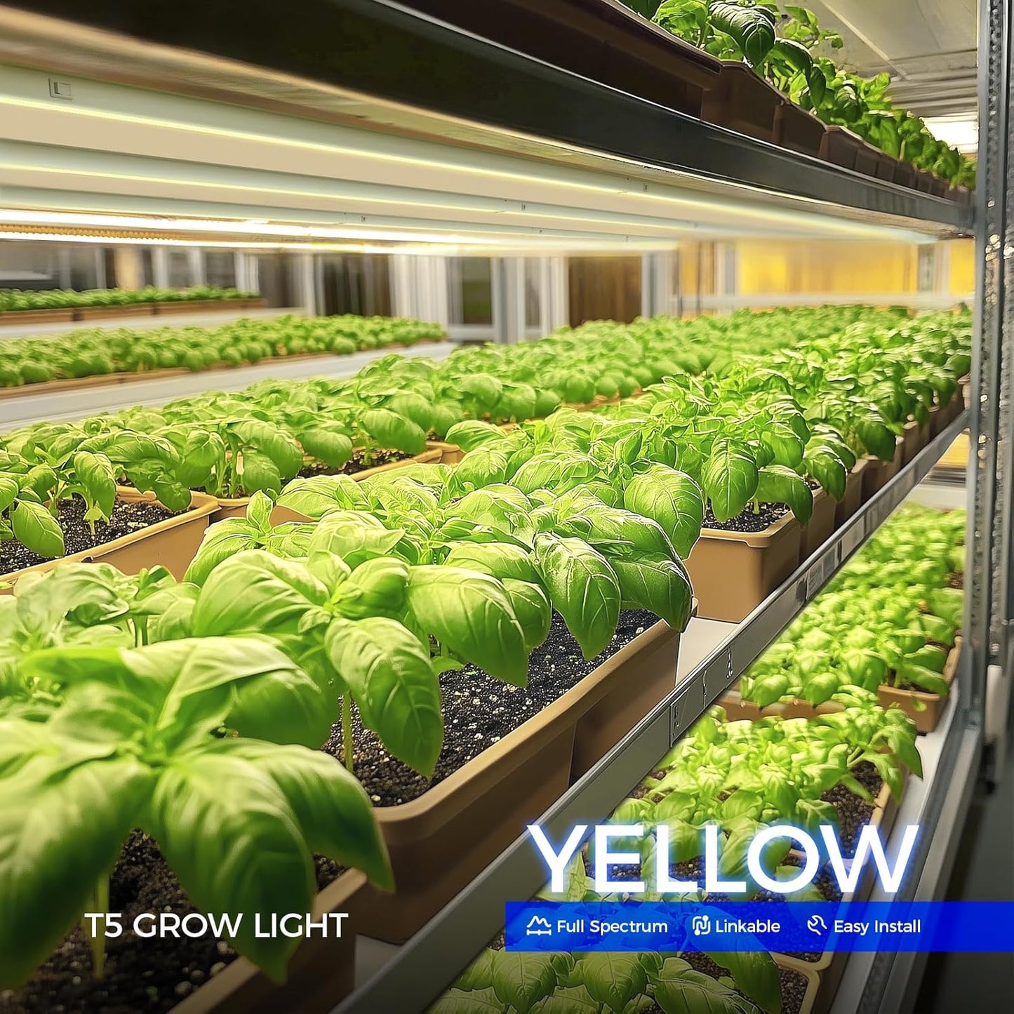 T5 Grow Lights for Indoor Plants, Full Spectrum, 4ft 160W (8 x 20W, 1000W Equivalent), Plant Growing Lamps, Plant Lights for Indoor Plants, Greenhouse, Plug and Play, Yellow 8-Pack