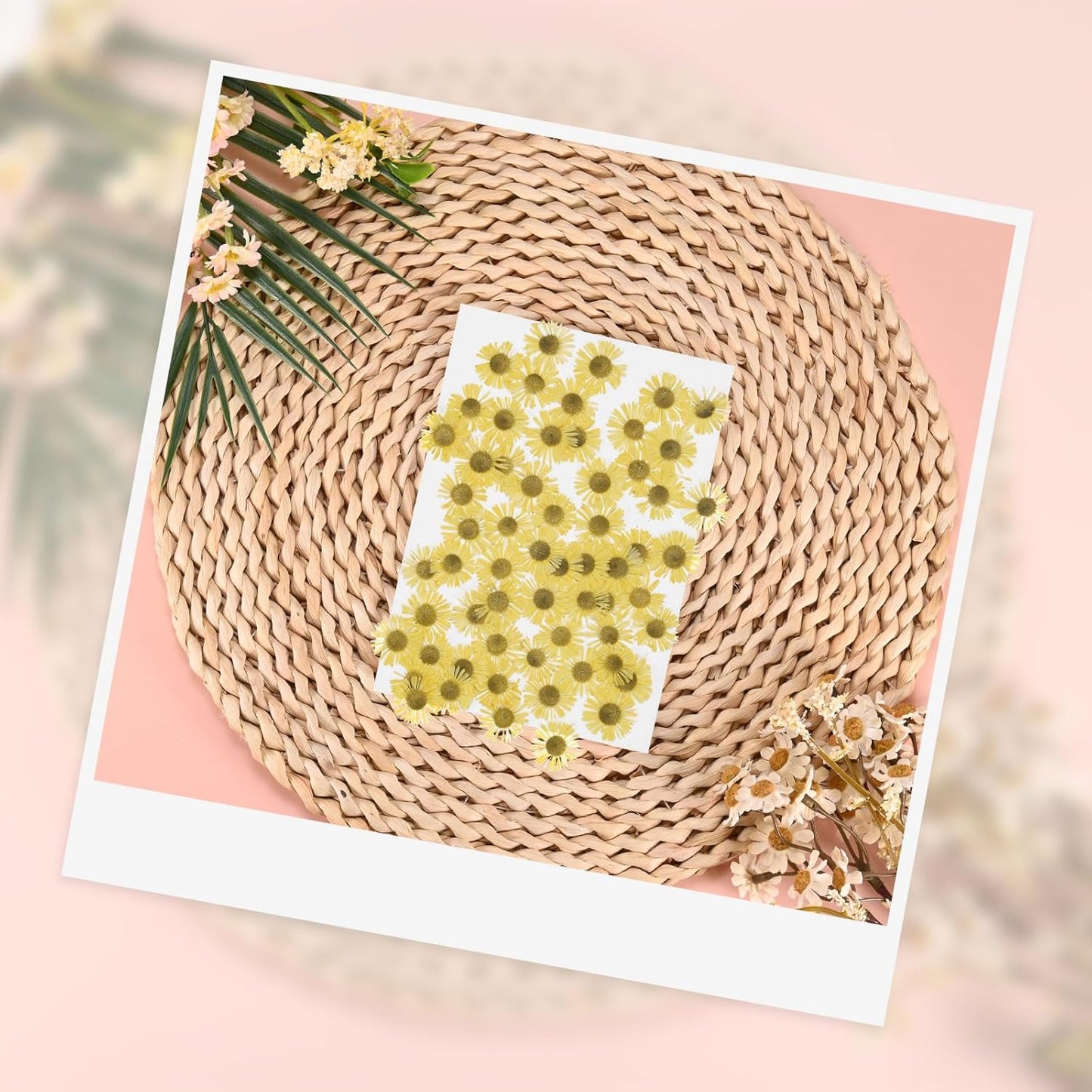 60-Pack Dried Pressed Flowers for Resin, Real Natural Bulk Dry Floral for Crafts/DIY Jewelry/Soap Making/Scrapbooking/Handmade Candle/Epoxy Resin Supplies [Yellow]