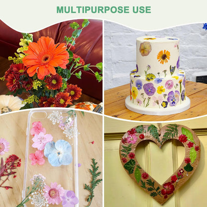 60-Pack Dried Pressed Flowers for Resin, Real Natural Bulk Dry Floral for Crafts/DIY Jewelry/Soap Making/Scrapbooking/Handmade Candle/Epoxy Resin Supplies [Yellow]