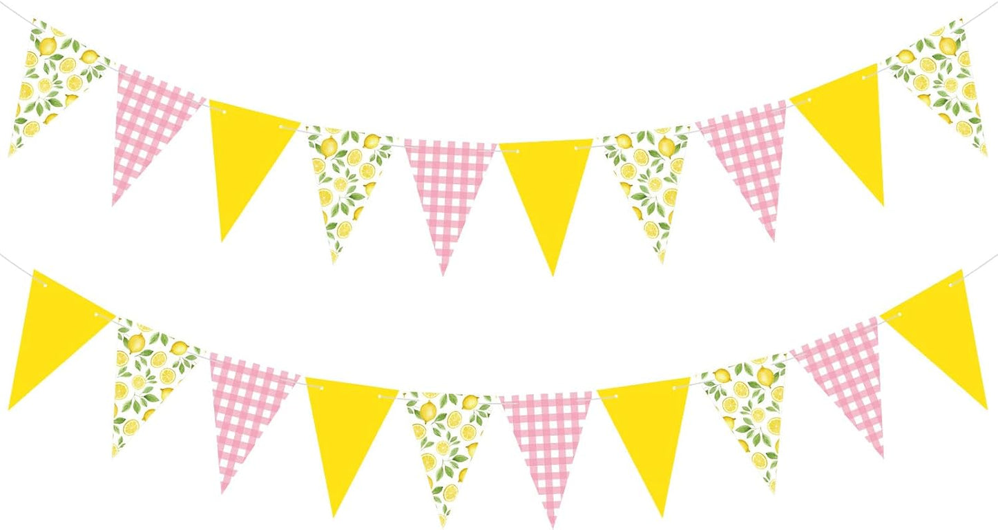 2 Pcs Lemon Party Decorations Pink Plaid Floral Lemon Banner Bunting Hanging Paper Triangle Garland Streamer for Wedding Bridal Shower Engagement Bachelorette Baby Shower Birthday Party Decor