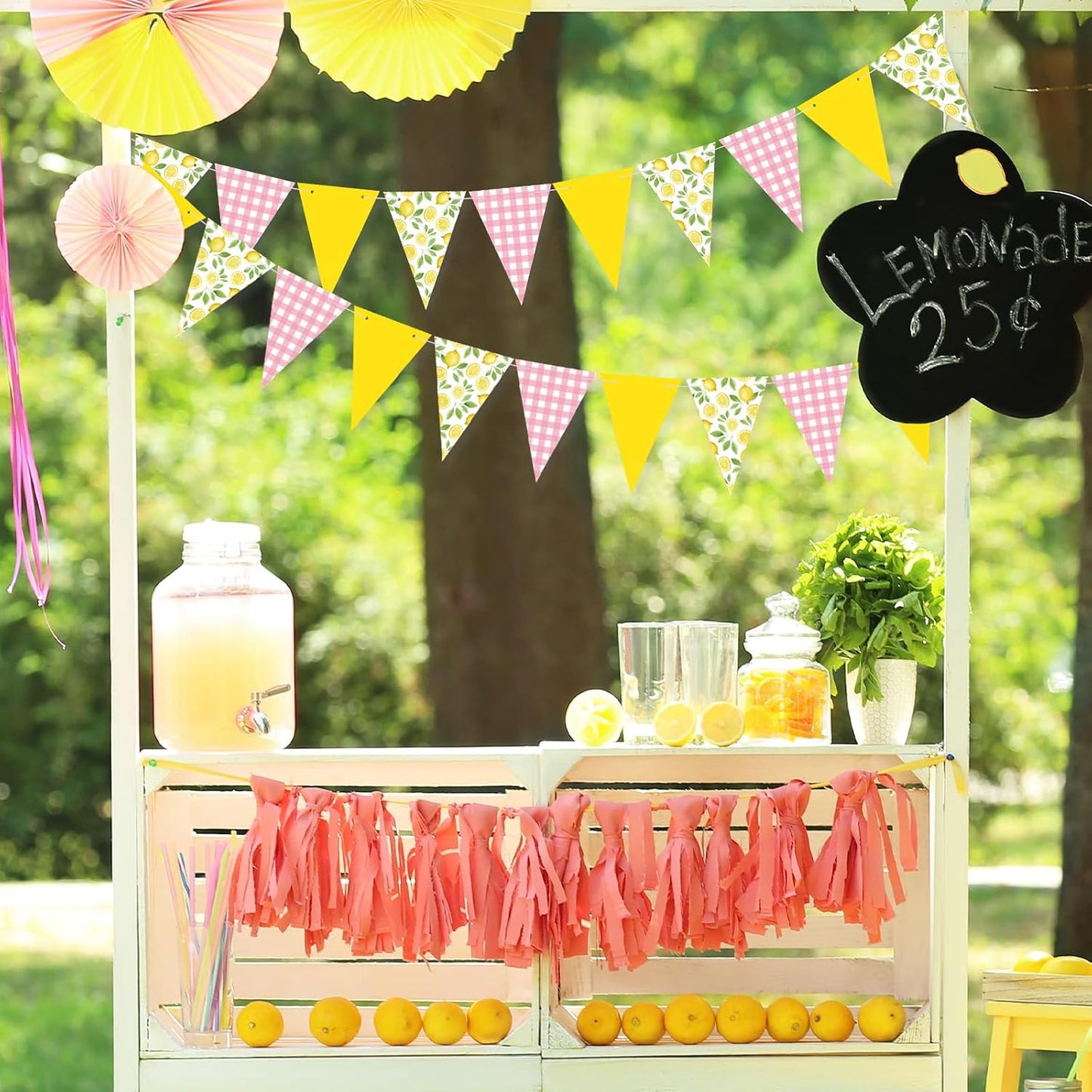 2 Pcs Lemon Party Decorations Pink Plaid Floral Lemon Banner Bunting Hanging Paper Triangle Garland Streamer for Wedding Bridal Shower Engagement Bachelorette Baby Shower Birthday Party Decor