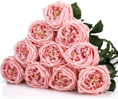 10pcs Peonies Artificial Flowers, Faux Austin Rose with Long Stem Look Real Fake Flower for Wedding Vase Party Home Kitchen Arrangement Decor(Champagne)