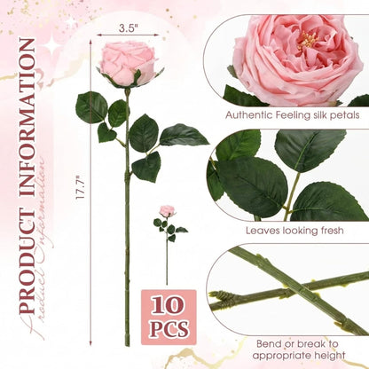 10pcs Peonies Artificial Flowers, Faux Austin Rose with Long Stem Look Real Fake Flower for Wedding Vase Party Home Kitchen Arrangement Decor(Champagne)