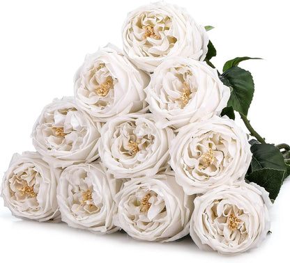 10pcs Peonies Artificial Flowers, Faux Austin Rose with Long Stem Look Real Fake Flower for Wedding Vase Party Home Kitchen Arrangement Decor(Champagne)