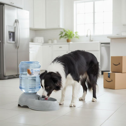 3 Gallon Large Dog Water Dispenser, Automatic Gravity Pet Waterer Station for Large Dogs and Multiple Pets, Indoor/Outdoor Dog Water Bowl with Anti-Slip Base, BPA-Free, Grey