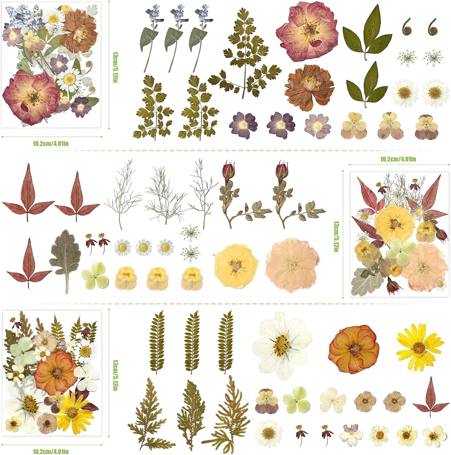 110Pcs Pressed Dried Flowers and Leaves for Resin | Assorted Real Natural Dry Flowers with Tweezers For DIY Crafts, Jewelry, Card Making, Soap,Candles, Nail Art, Scrapbooking