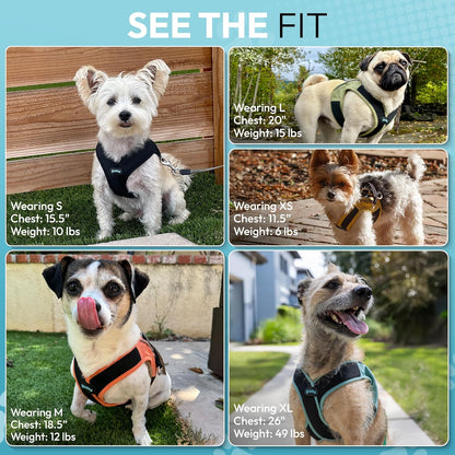 Escape Free Easy Fit X Step-in Dog Harness, Miami Yellow, X-Large | Patented escape-free, tightens on back-out; Choke-free X-frame + V-neck; Quick-release buckle; Reflective trim