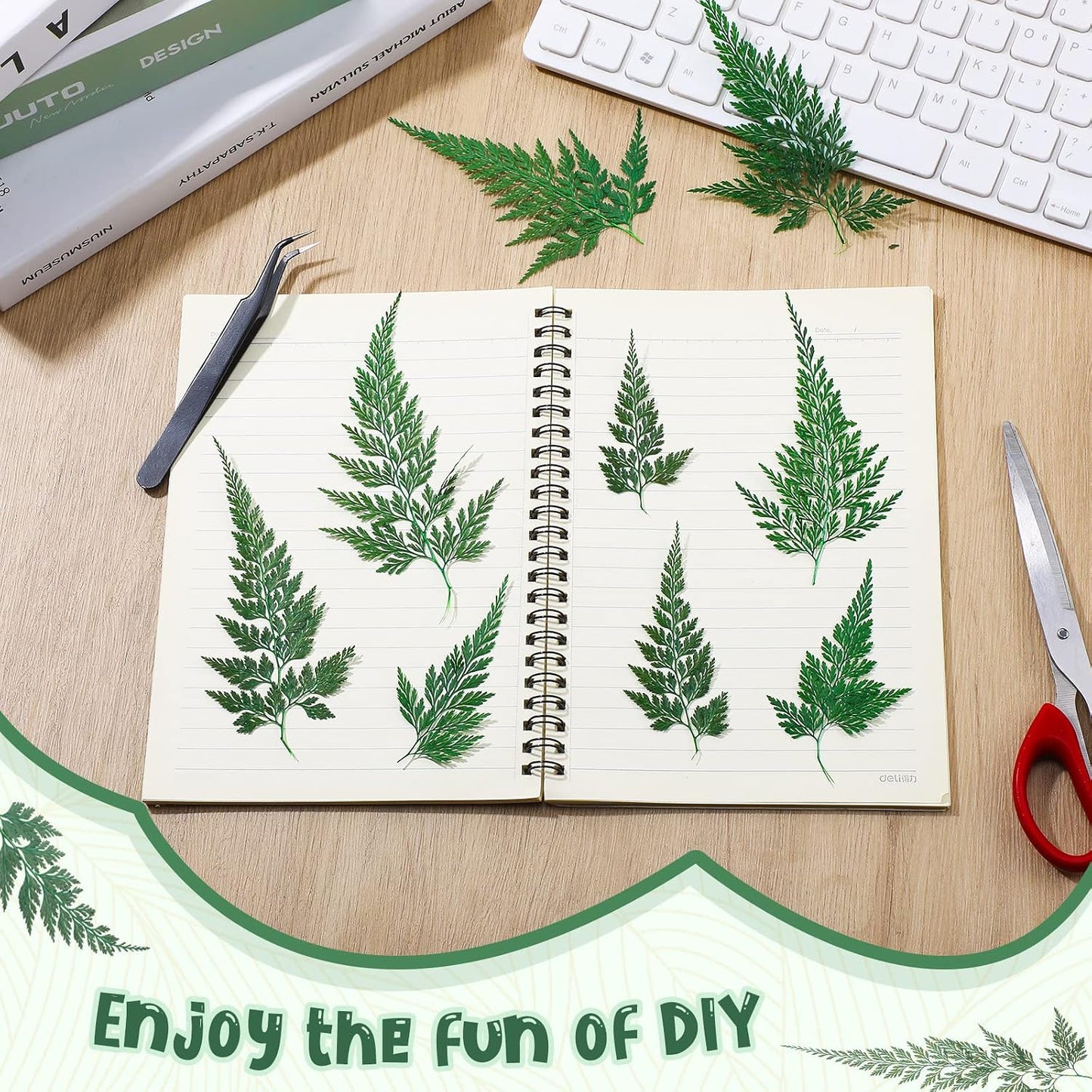 200 Pcs Dried Pressed Green Leaves Flowers Small Dry Preserved Natural Ferns Real Dried Greenery Plant Leaf for Gifts Card Decor Resin Arrangements Home Wedding Art DIY Crafts Decors