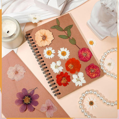 100 Pcs Dried Pressed Flowers, Real Natural Dried Wildflowers Leave with Tweezer Floral Decoration for DIY Crafts, Candle Making, Resin Mold and Bridal Scrapbooking Nails Decors Mixed Yellow