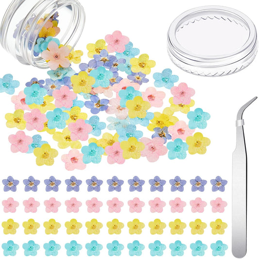 201 Pieces Natural Forget Me Not Dried Flowers Real Dried Pressed Flowers Don't Forget Me for Jewelry Making with Tweezer for Nail Art Candle Epoxy DIY Resin Craft Decor, 4 Colors