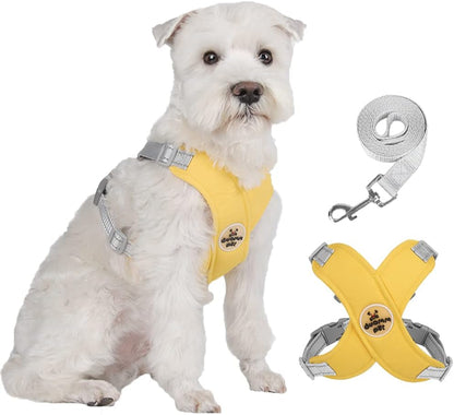 Dog Harness Pet X Frame No Pull Step-in Harnesses with Leash Set, Adjustable Reflective Choke Free Puppy with Padded Vest for Small, Medium Dogs and Cats Walking Training