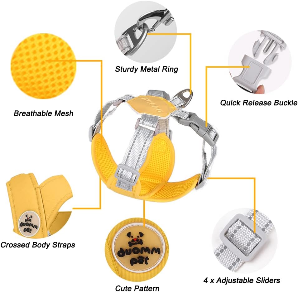 Dog Harness Pet X Frame No Pull Step-in Harnesses with Leash Set, Adjustable Reflective Choke Free Puppy with Padded Vest for Small, Medium Dogs and Cats Walking Training