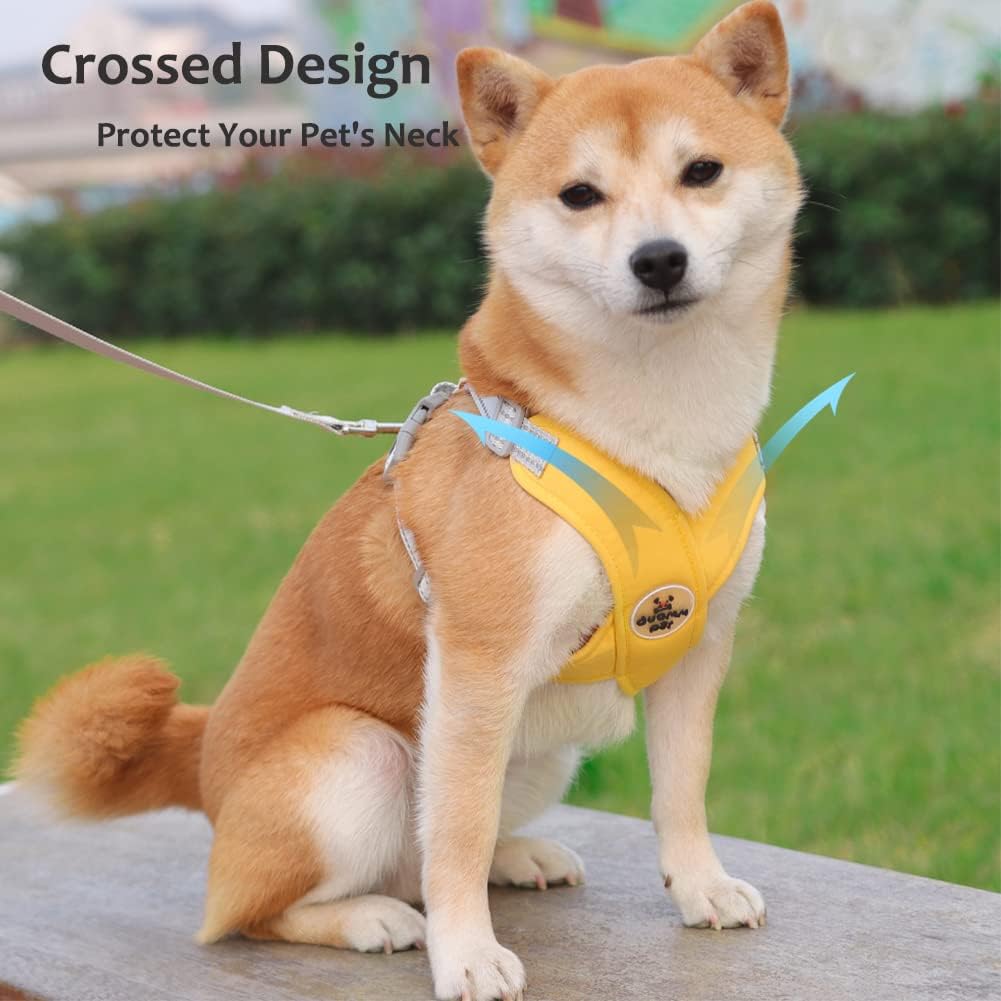 Dog Harness Pet X Frame No Pull Step-in Harnesses with Leash Set, Adjustable Reflective Choke Free Puppy with Padded Vest for Small, Medium Dogs and Cats Walking Training