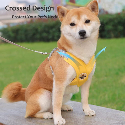 Dog Harness Pet X Frame No Pull Step-in Harnesses with Leash Set, Adjustable Reflective Choke Free Puppy with Padded Vest for Small, Medium Dogs and Cats Walking Training
