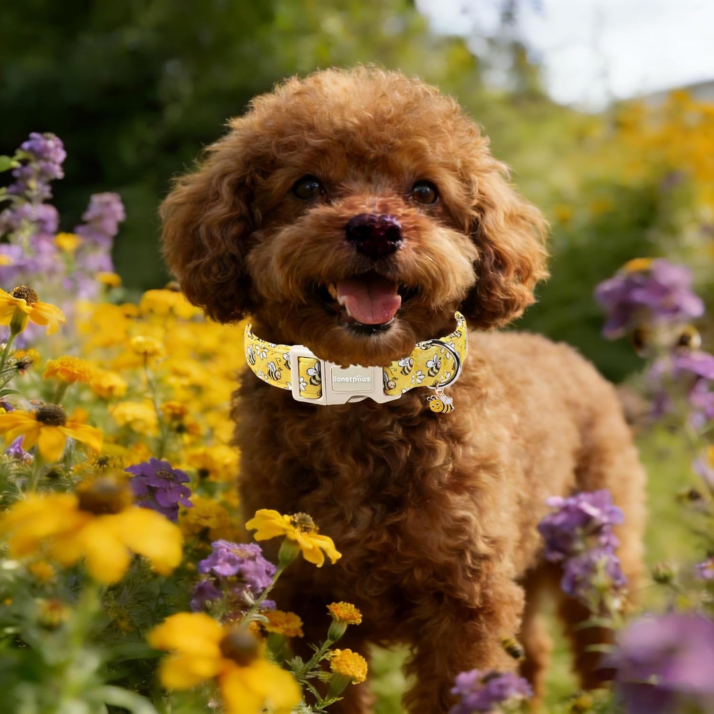 Spring Dog Collar- Cute Bees Yellow Dogs Collar with Plastic Buckle and Bee Pendant,Dog Collar for Small Medium Dogs