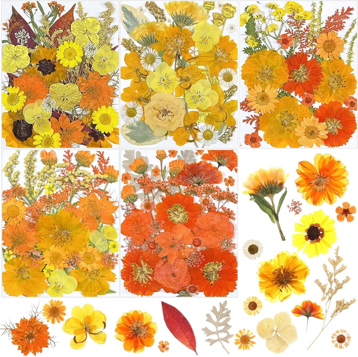 167 Pcs Real Dried Pressed Flowers Natural Dried Flowers Colorful Daisy Mixed Wildflowers Leave for DIY Candle Resin Nails Jewelry Pendant Crafts Floral Art(Yellow,Bright Style)