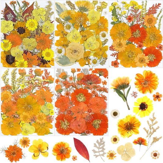 167 Pcs Real Dried Pressed Flowers Natural Dried Flowers Colorful Daisy Mixed Wildflowers Leave for DIY Candle Resin Nails Jewelry Pendant Crafts Floral Art(Yellow,Bright Style)