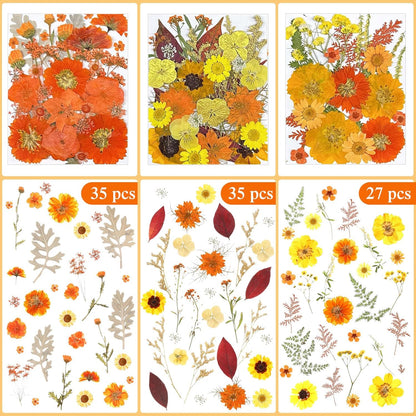 167 Pcs Real Dried Pressed Flowers Natural Dried Flowers Colorful Daisy Mixed Wildflowers Leave for DIY Candle Resin Nails Jewelry Pendant Crafts Floral Art(Yellow,Bright Style)