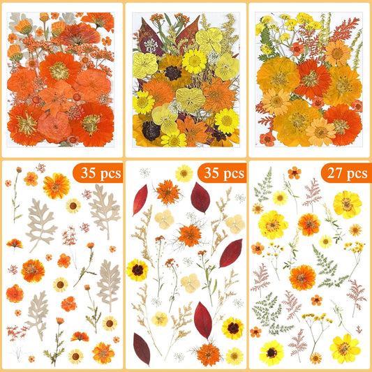 167 Pcs Real Dried Pressed Flowers Natural Dried Flowers Colorful Daisy Mixed Wildflowers Leave for DIY Candle Resin Nails Jewelry Pendant Crafts Floral Art(Yellow,Bright Style)