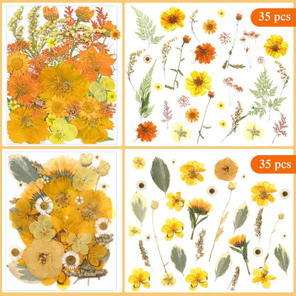 167 Pcs Real Dried Pressed Flowers Natural Dried Flowers Colorful Daisy Mixed Wildflowers Leave for DIY Candle Resin Nails Jewelry Pendant Crafts Floral Art(Yellow,Bright Style)