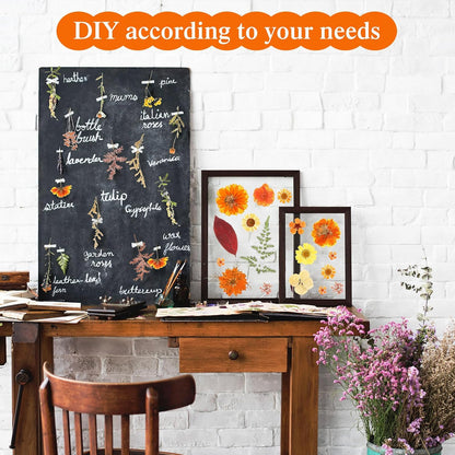 167 Pcs Real Dried Pressed Flowers Natural Dried Flowers Colorful Daisy Mixed Wildflowers Leave for DIY Candle Resin Nails Jewelry Pendant Crafts Floral Art(Yellow,Bright Style)