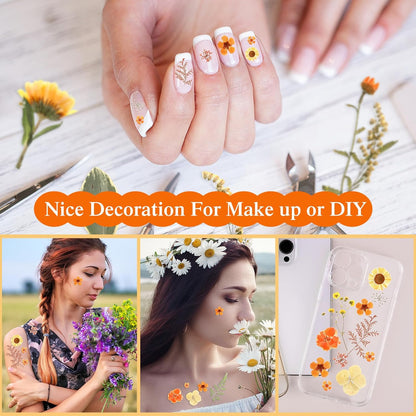 167 Pcs Real Dried Pressed Flowers Natural Dried Flowers Colorful Daisy Mixed Wildflowers Leave for DIY Candle Resin Nails Jewelry Pendant Crafts Floral Art(Yellow,Bright Style)