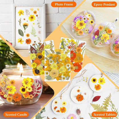 167 Pcs Real Dried Pressed Flowers Natural Dried Flowers Colorful Daisy Mixed Wildflowers Leave for DIY Candle Resin Nails Jewelry Pendant Crafts Floral Art(Yellow,Bright Style)