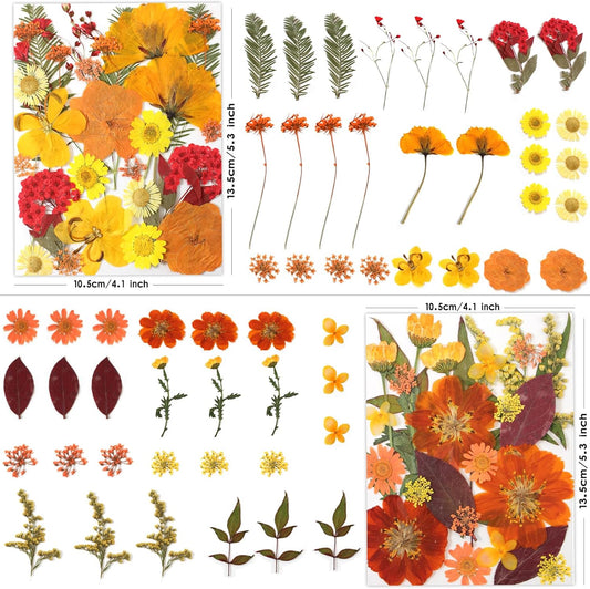 120P Yellow Orange Red Dried Pressed Flowers | Warm cozy gradient, maple leaves, varied blooms, for Thanksgiving resin jewelry scrapbook frame candle, tweezers included