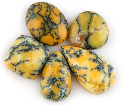 5pcs, Bulk Natural Gemstone Cabochon, Polished Flatback Stone, Wholesale Loose Cabs Supply, DIY Jewelry Making, Chakra Healing Crystal, Birthstone, Decoration, Gem Collection