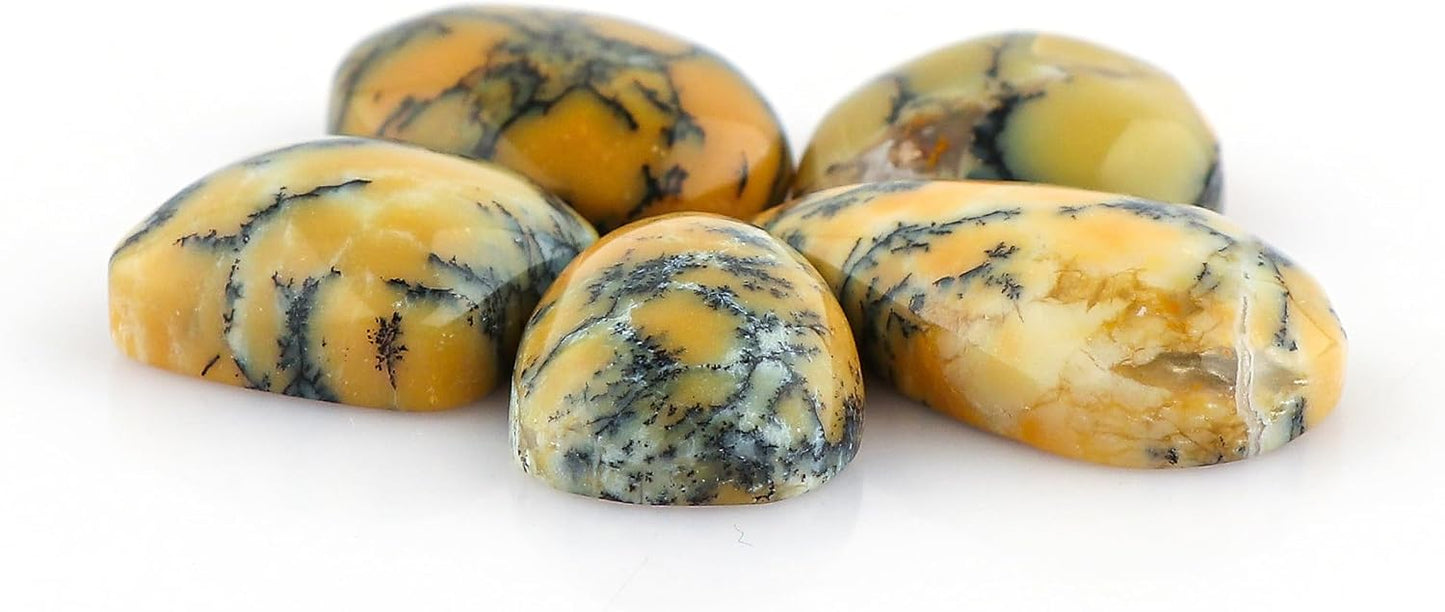 5pcs, Bulk Natural Gemstone Cabochon, Polished Flatback Stone, Wholesale Loose Cabs Supply, DIY Jewelry Making, Chakra Healing Crystal, Birthstone, Decoration, Gem Collection