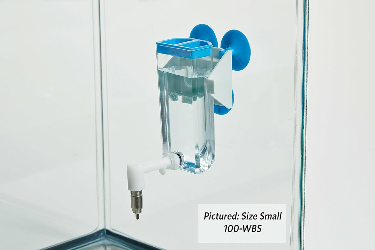 Large Animal Water Bottle | Ideal for Hamsters, Mice, Guinea Pigs & Rabbits, Large