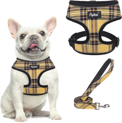 Small Dog Harness and Leash Set No Pull for XS XXS Sized Dogs Puppy | Escape Proof No Choke Pet Cat Adjustable Soft Padded Walking Vest