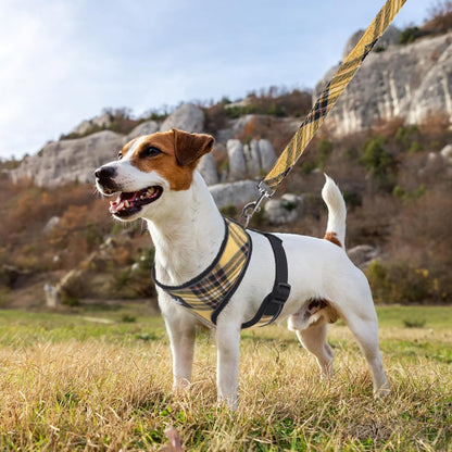 Small Dog Harness and Leash Set No Pull for XS XXS Sized Dogs Puppy | Escape Proof No Choke Pet Cat Adjustable Soft Padded Walking Vest