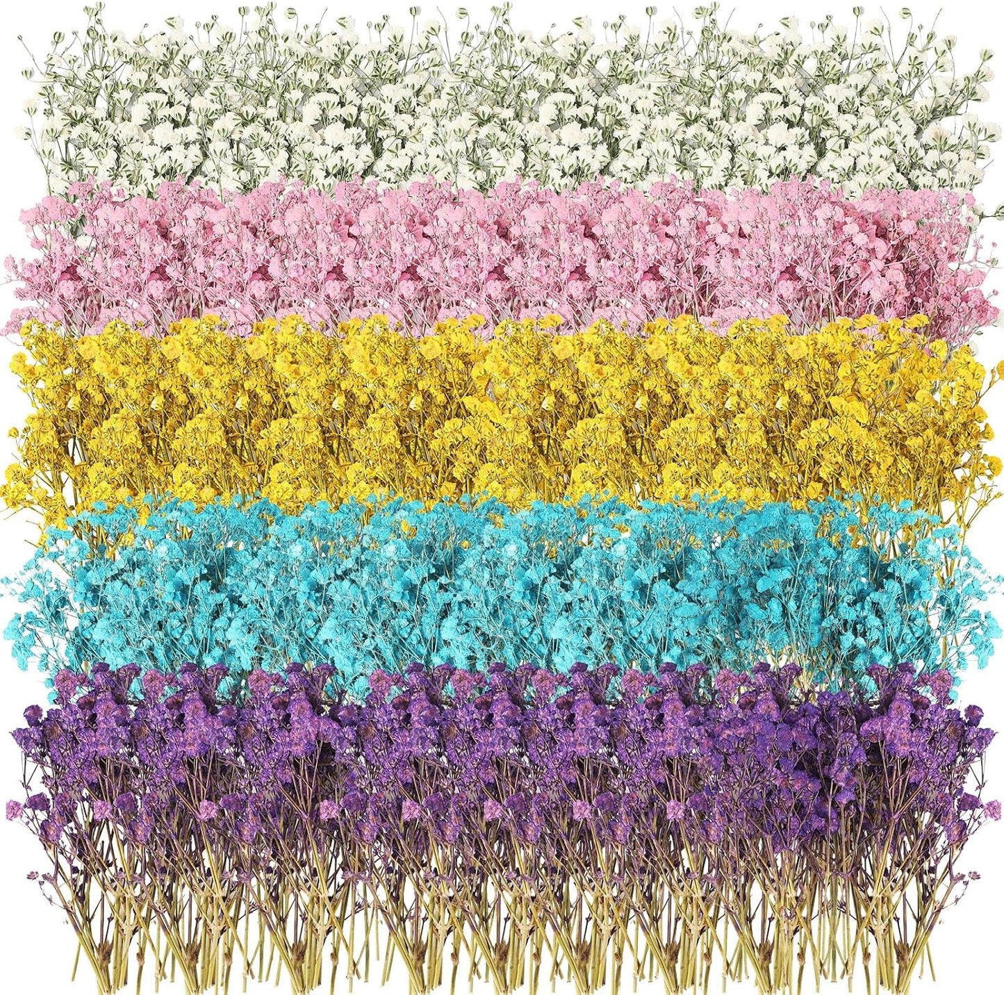 100 Pcs Mini Dried Babys Breath Flowers Bulk for Resin Art DIY Craft Dried Natural Gypsophila Branches for Wedding Card Making, Gifts Wrap, Pressed Baby's Breath Flowers Bouquet, 5 Colors
