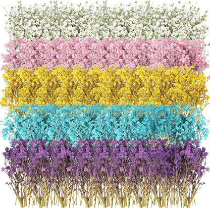100 Pcs Mini Dried Babys Breath Flowers Bulk for Resin Art DIY Craft Dried Natural Gypsophila Branches for Wedding Card Making, Gifts Wrap, Pressed Baby's Breath Flowers Bouquet, 5 Colors