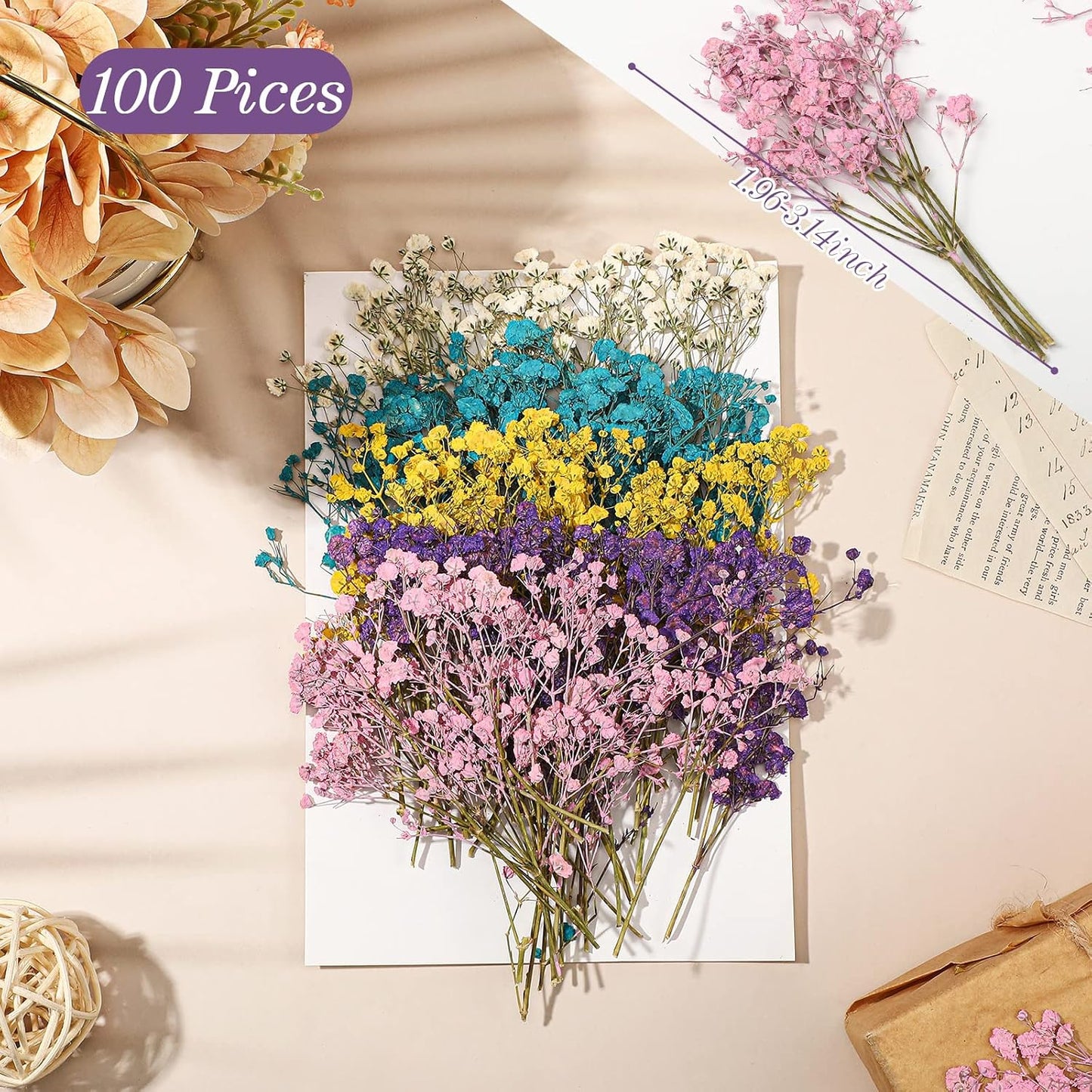 100 Pcs Mini Dried Babys Breath Flowers Bulk for Resin Art DIY Craft Dried Natural Gypsophila Branches for Wedding Card Making, Gifts Wrap, Pressed Baby's Breath Flowers Bouquet, 5 Colors