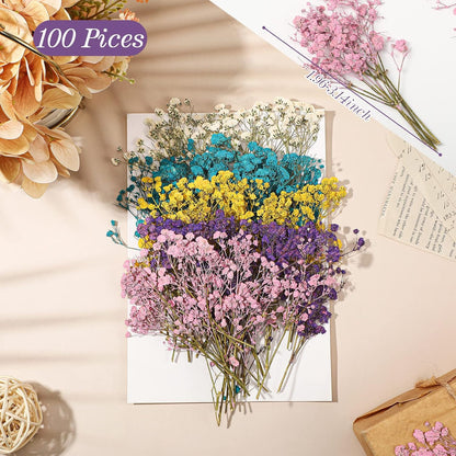 100 Pcs Mini Dried Babys Breath Flowers Bulk for Resin Art DIY Craft Dried Natural Gypsophila Branches for Wedding Card Making, Gifts Wrap, Pressed Baby's Breath Flowers Bouquet, 5 Colors