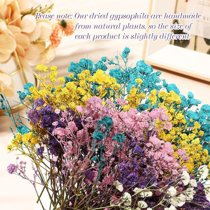 100 Pcs Mini Dried Babys Breath Flowers Bulk for Resin Art DIY Craft Dried Natural Gypsophila Branches for Wedding Card Making, Gifts Wrap, Pressed Baby's Breath Flowers Bouquet, 5 Colors