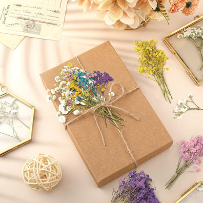 100 Pcs Mini Dried Babys Breath Flowers Bulk for Resin Art DIY Craft Dried Natural Gypsophila Branches for Wedding Card Making, Gifts Wrap, Pressed Baby's Breath Flowers Bouquet, 5 Colors