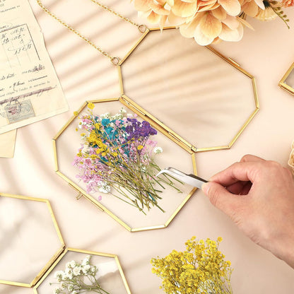 100 Pcs Mini Dried Babys Breath Flowers Bulk for Resin Art DIY Craft Dried Natural Gypsophila Branches for Wedding Card Making, Gifts Wrap, Pressed Baby's Breath Flowers Bouquet, 5 Colors