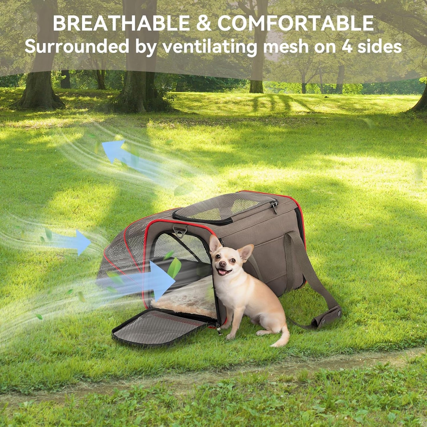 Expandable Cat Carrier Dog Carriers,Airline Approved Soft-Sided Portable Pet Travel Washable Carrier for Kittens,Puppies,Removable Soft Plush mat and Pockets,Locking Safety Zippers