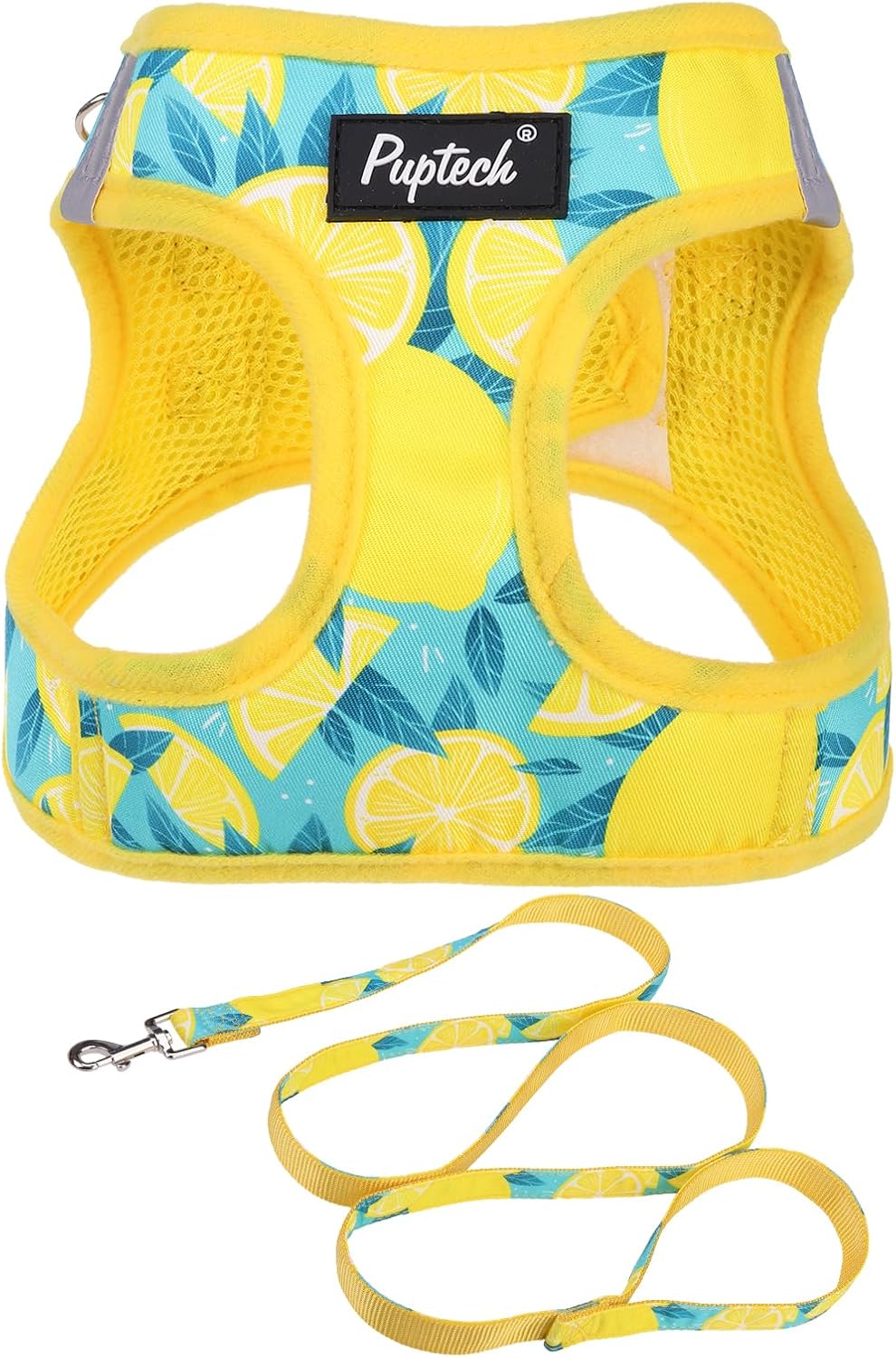 Small Dog Harness and Leash Set No Pull for XS XXS Sized Dogs Puppy | Escape Proof Step-in Reflective No Choke Pet Cat Adjustable Soft Padded Walking Vest